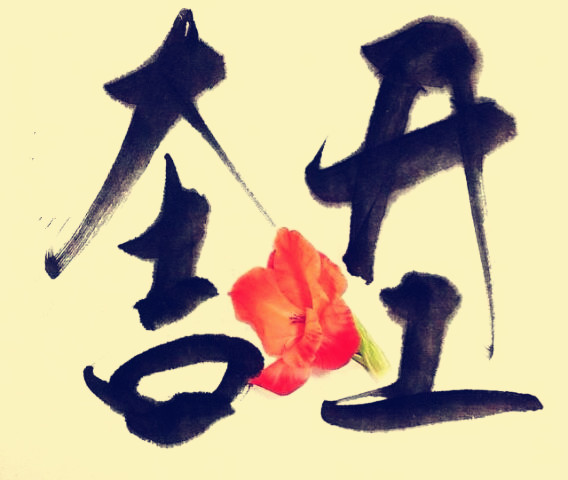 駿業(yè)包裝開工大吉！